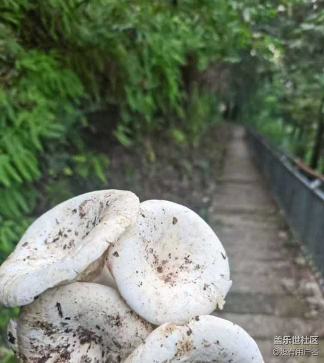 【徒步所见】登山的乐趣
