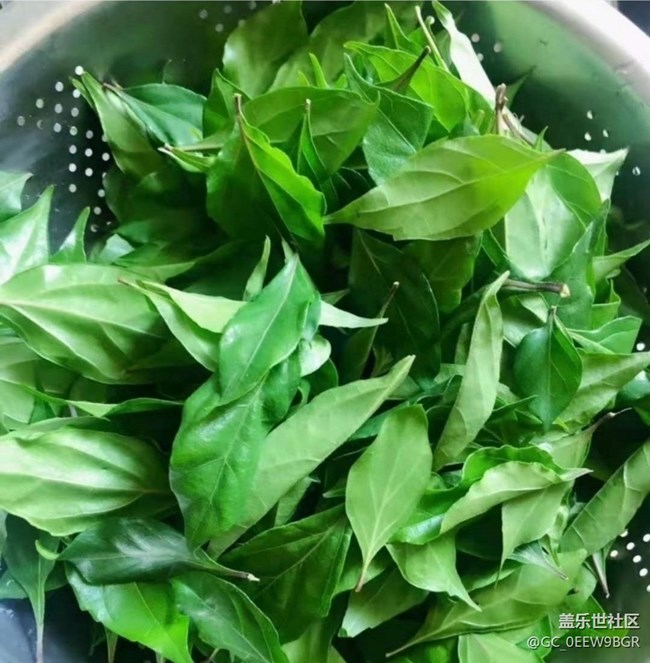 【一口春味】绿豆腐