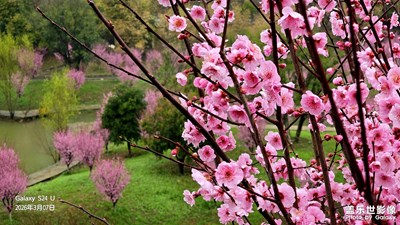 湖北十堰秦巴植物园