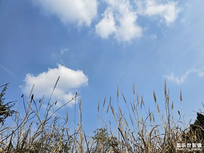 【简拍】+成都春天