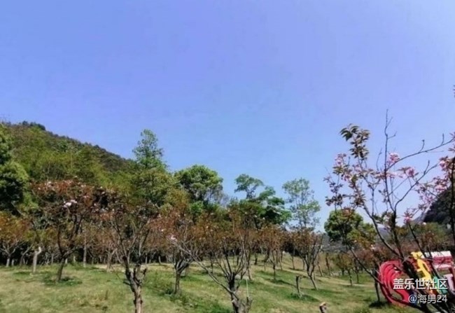 【徒步所见】春光灿烂