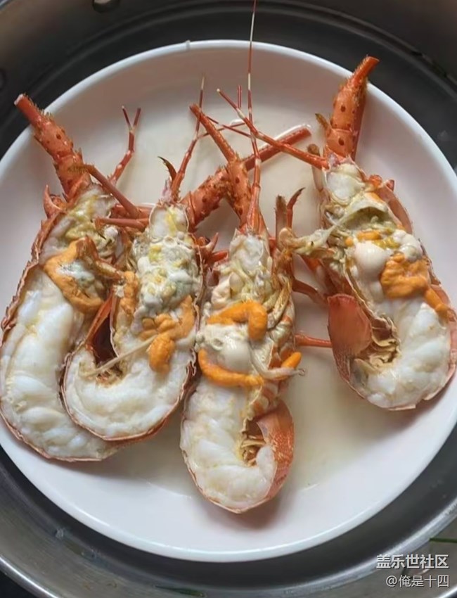 【一口春味】清蒸小青龙