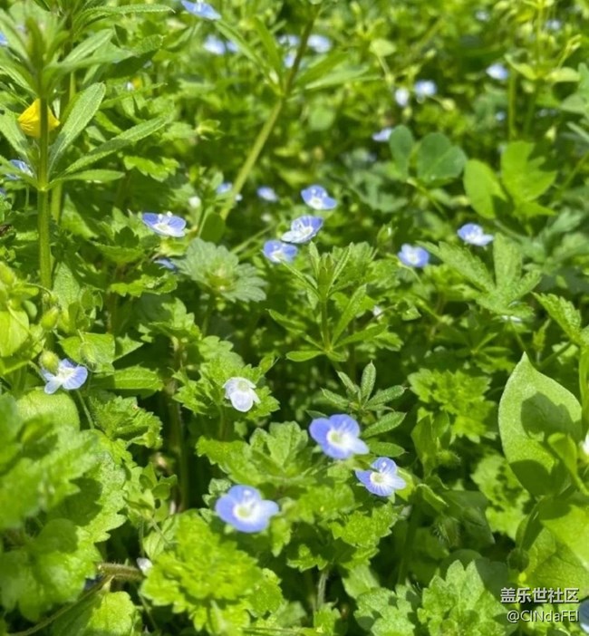 【徒步所见】春天来了