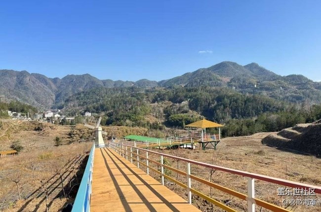 【徒步所见】植树