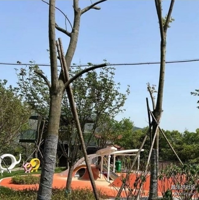 【徒步所见】周末公园