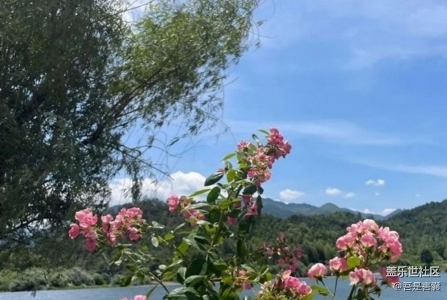 【徒步所见】走走