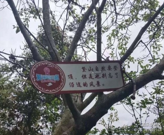 【徒步所见】春季登山