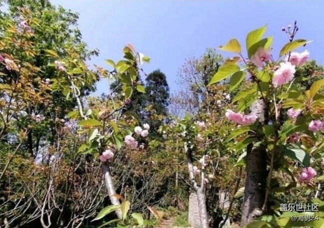 【徒步所见】春光灿烂