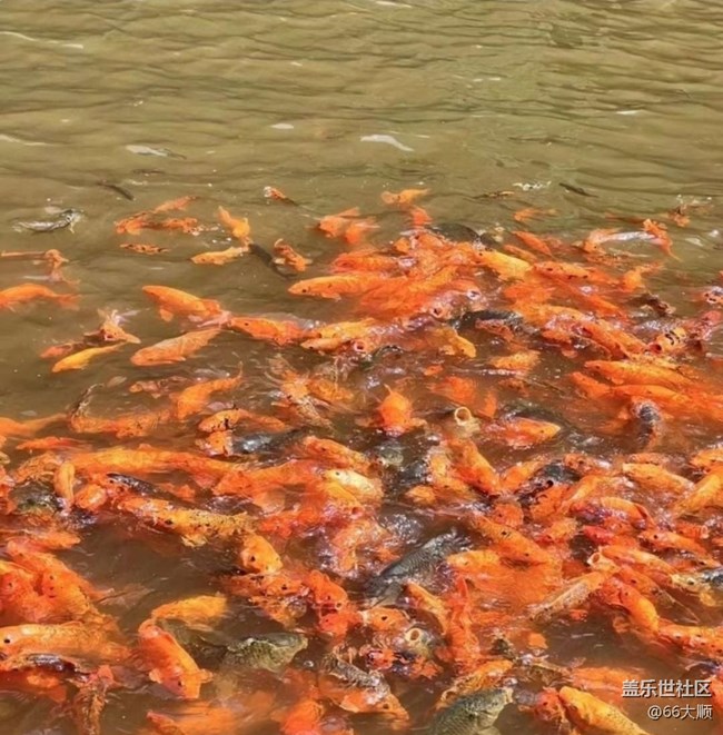 【徒步所见】绿水青山