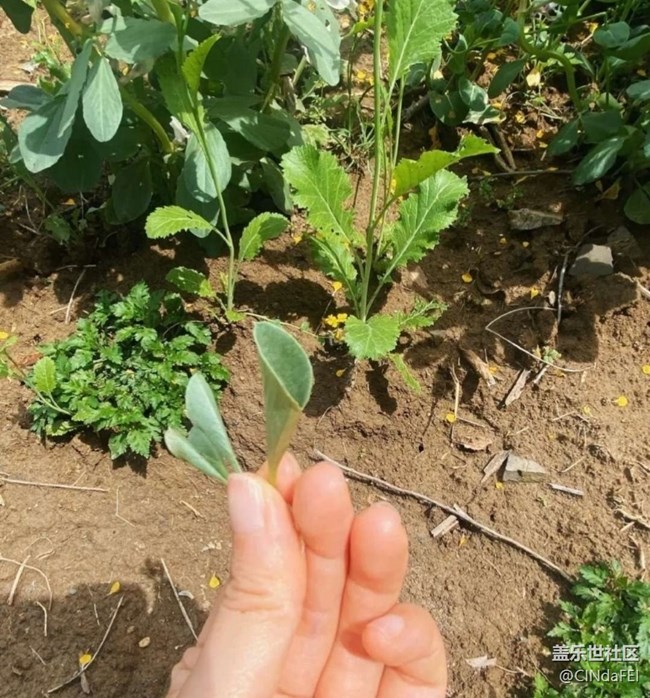 【徒步所见】春天来了