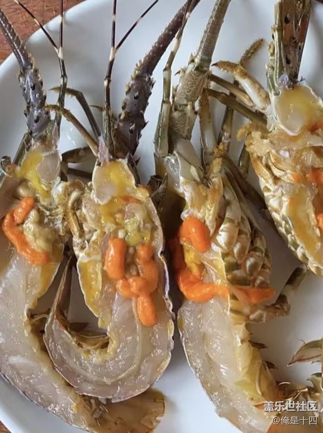 【一口春味】清蒸小青龙