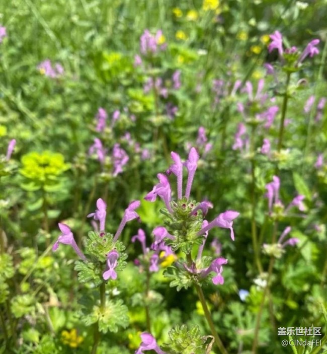 【徒步所见】春天来了