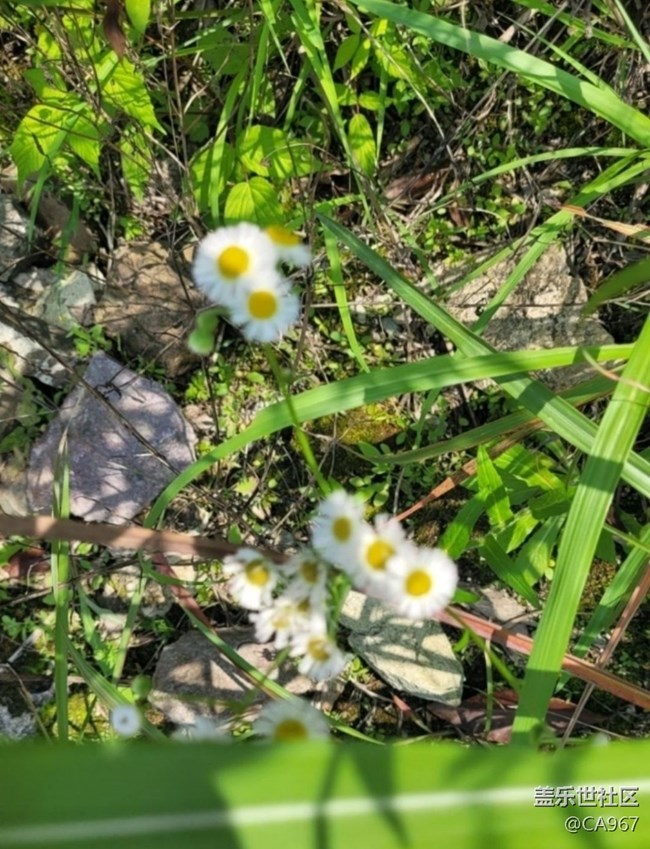 【徒步所见】自然风光