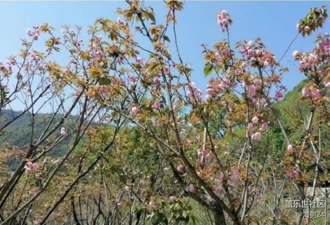 【徒步所见】春光灿烂