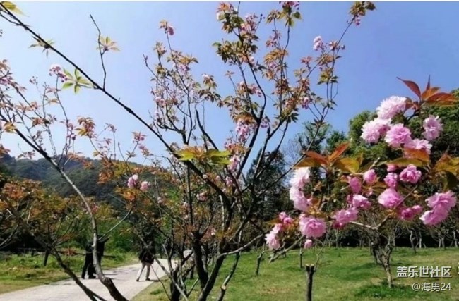 【徒步所见】春光灿烂