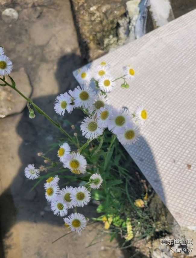 【徒步所见】自然风光