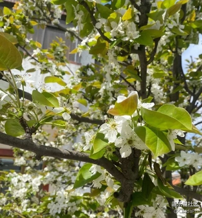 【徒步所见】春天来了
