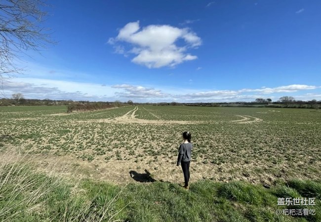 【徒步所见】寻找春天