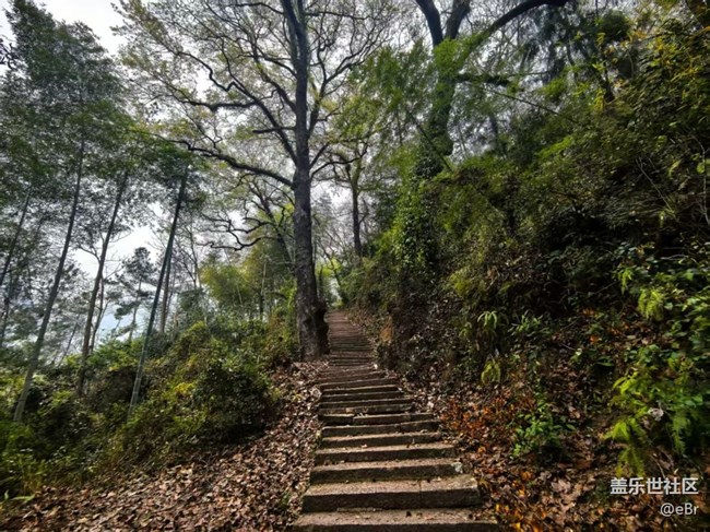 【徒步所见】春来了