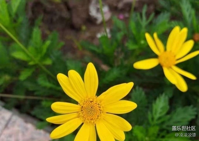 【徒步所见】出去走走