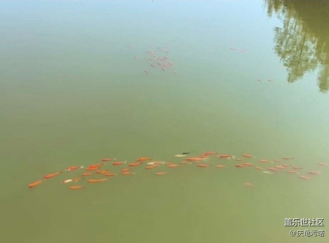 【徒步所见】游玩