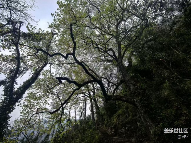 【徒步所见】春来了