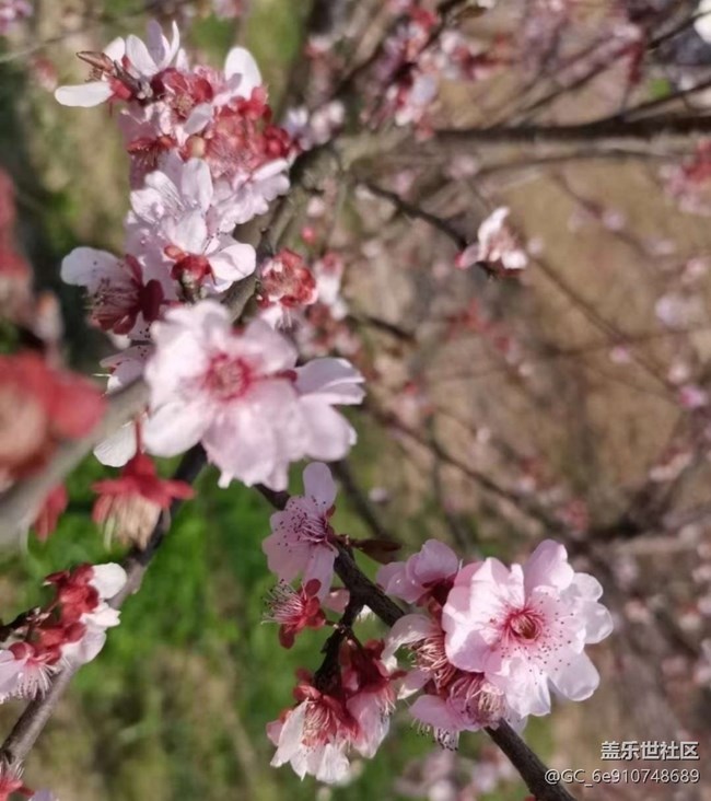 【徒步所见】出去晒晒