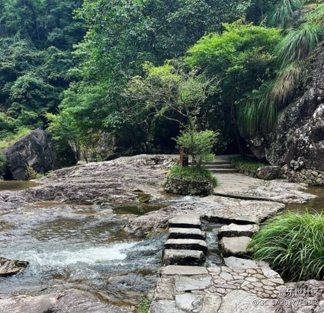 【徒步所见】初春景色