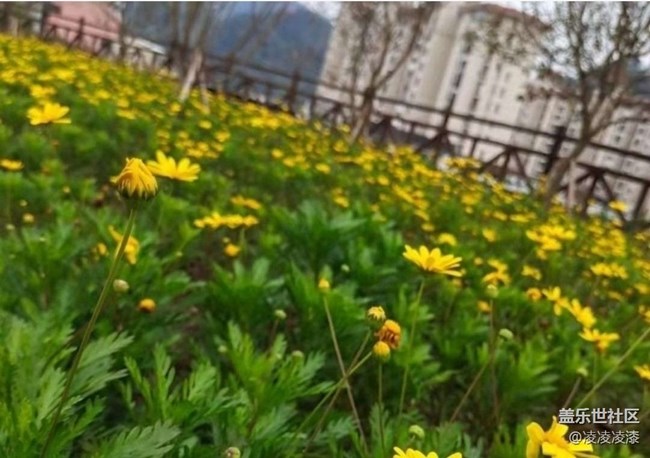 【徒步所见】出去走走