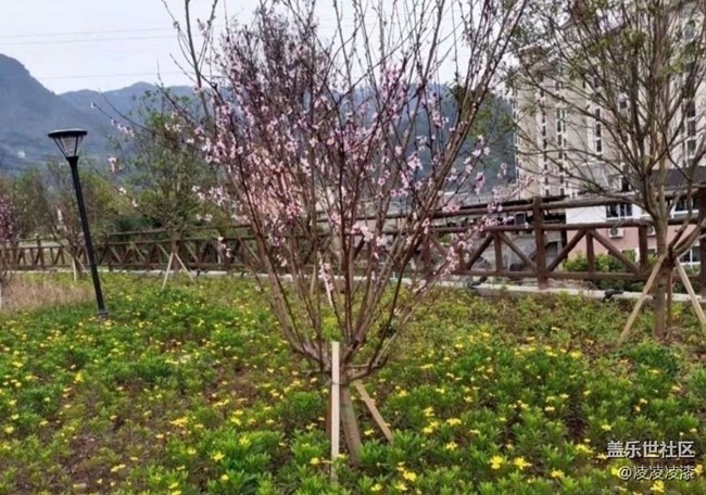 【徒步所见】出去走走