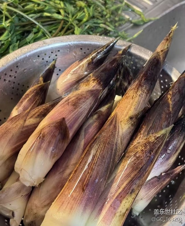 【徒步所见】打野