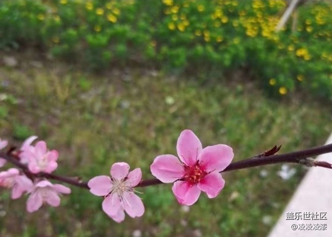 【徒步所见】出去走走