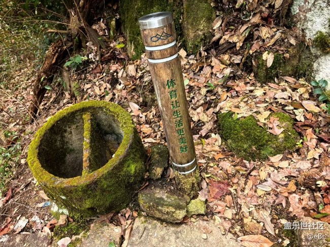 【徒步所见】春来了