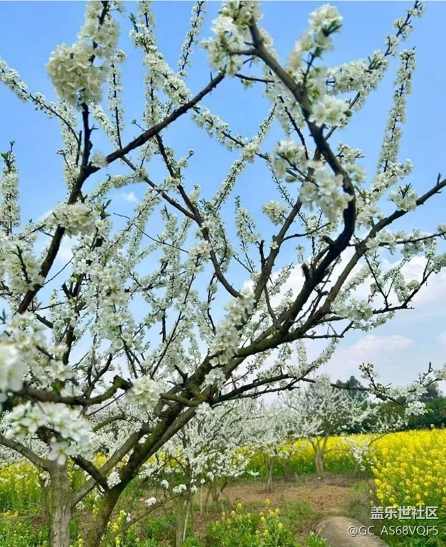 【徒步所见】乡间田野
