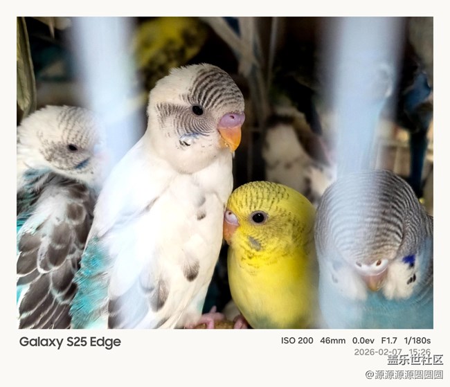 【花鸟AI伴】武汉星部落活动总结贴