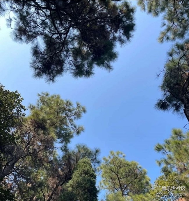 【徒步所见】春天爬山