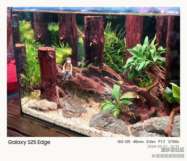 【花鸟AI伴】武汉星部落活动总结贴