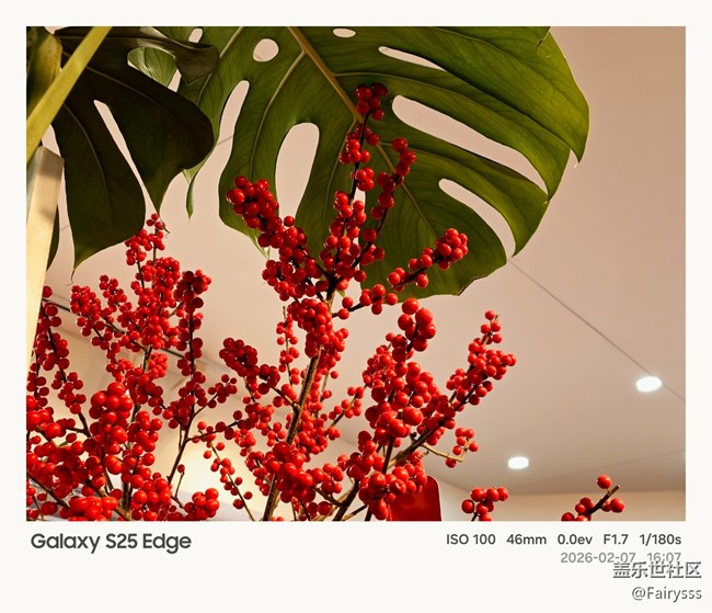 【早春二月】二月花市