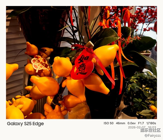 【早春二月】二月花市