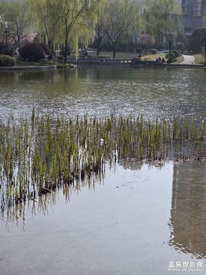 【简拍】湖边漫步