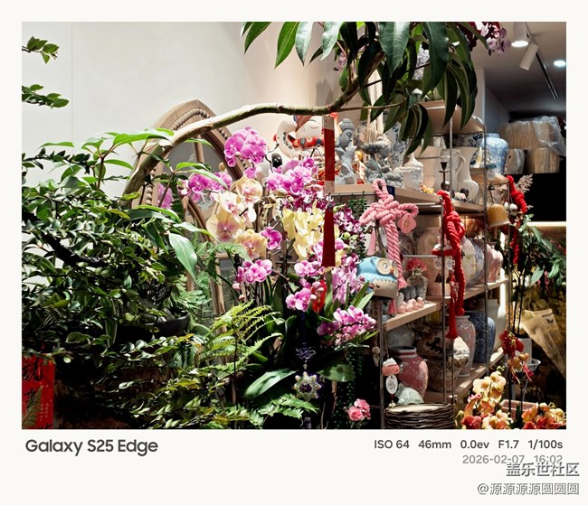 【花鸟AI伴】武汉星部落活动总结贴