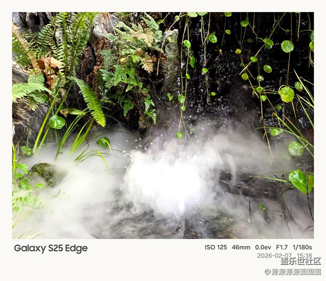 【花鸟AI伴】武汉星部落活动总结贴