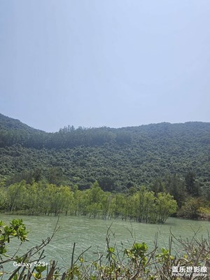 【简拍】海上桃源