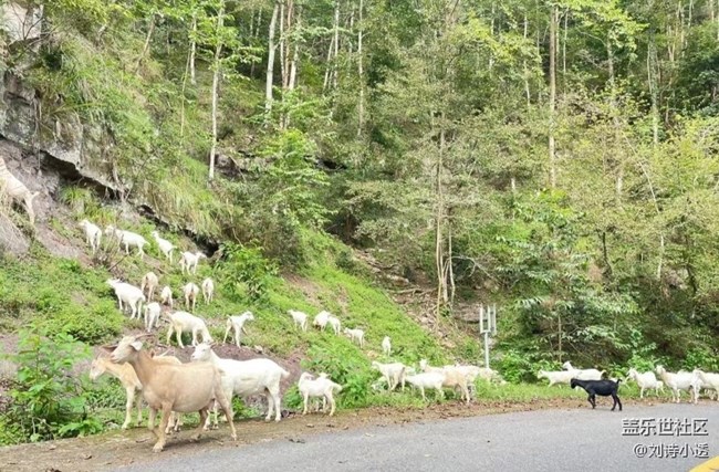 【徒步所见】春天骑行