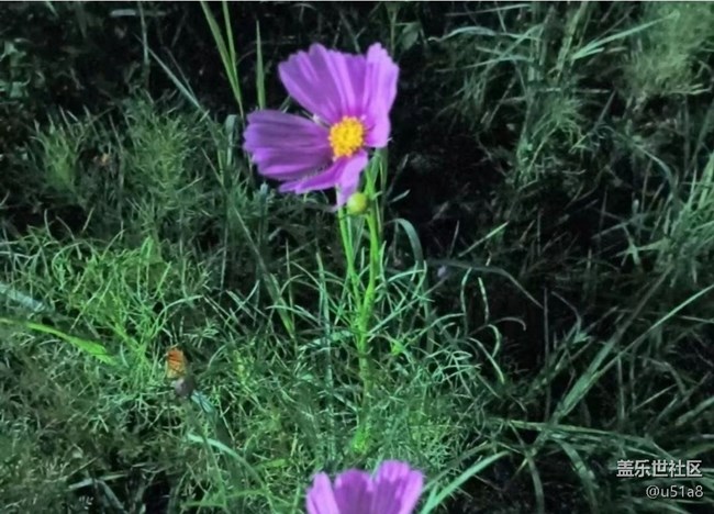 【徒步所见】逛公园