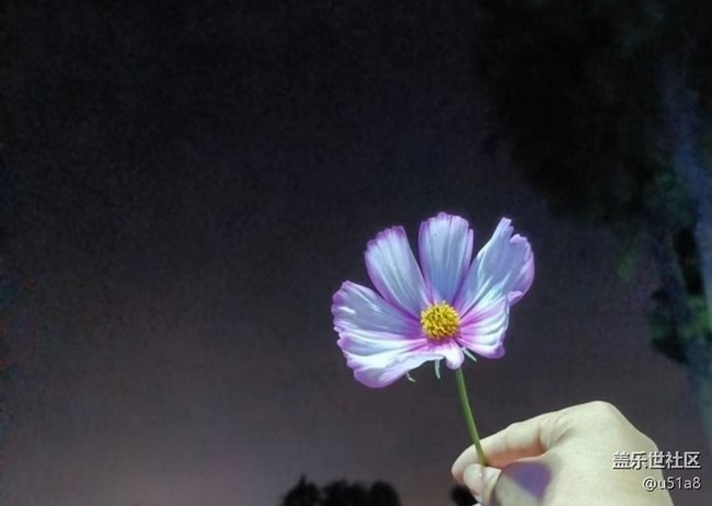 【徒步所见】逛公园