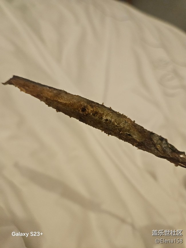 【一口春味】春天来个多春鱼