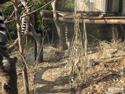 【简拍】暖阳之间