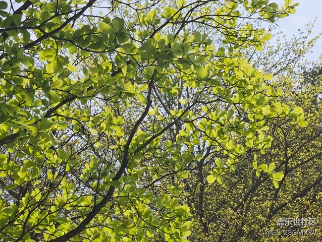 【徒步所见】花花草草