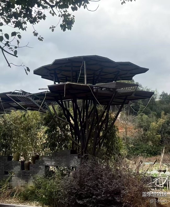 【徒步所见】初春景色